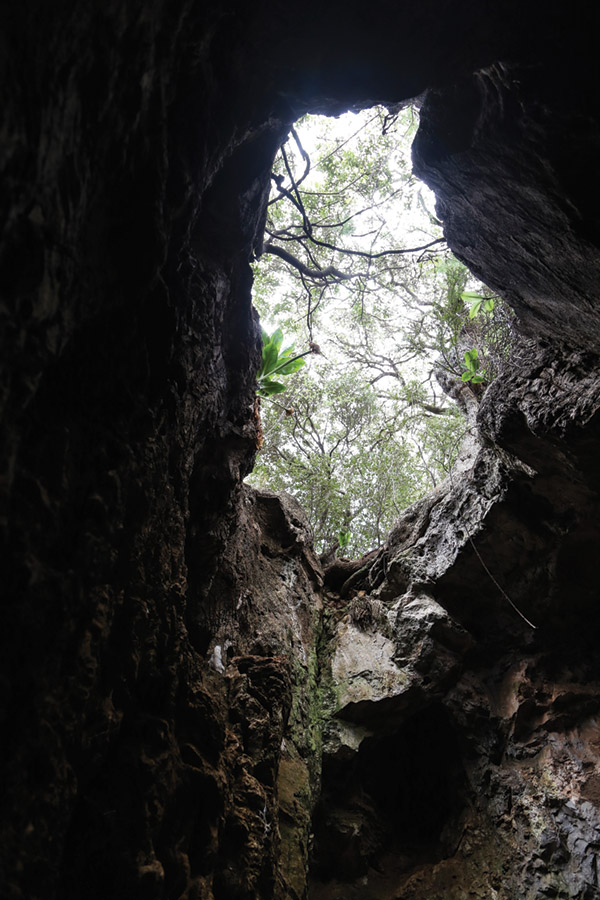 Photo looking up, out of the cave entrance