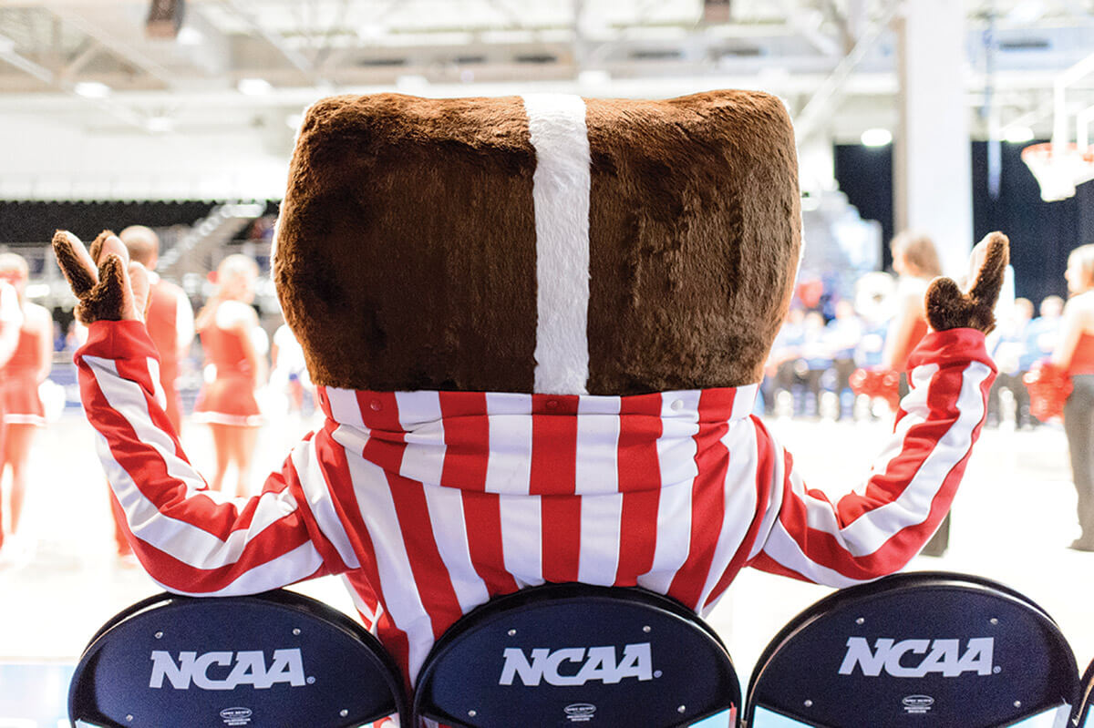 Bucky Badger sitting in NCAA chairs