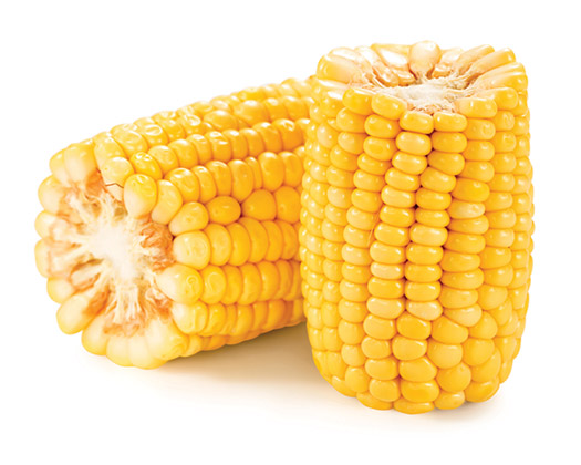 GE corn was introduced in 1996.