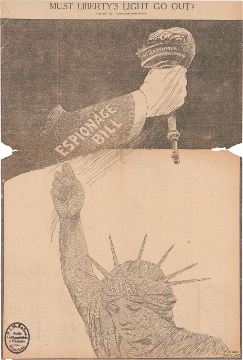 Editorial cartoon picturing a hand grabbing away Lady Liberty's torch.