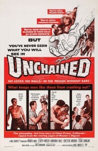 Illustrated poster for movie, "Unchained"