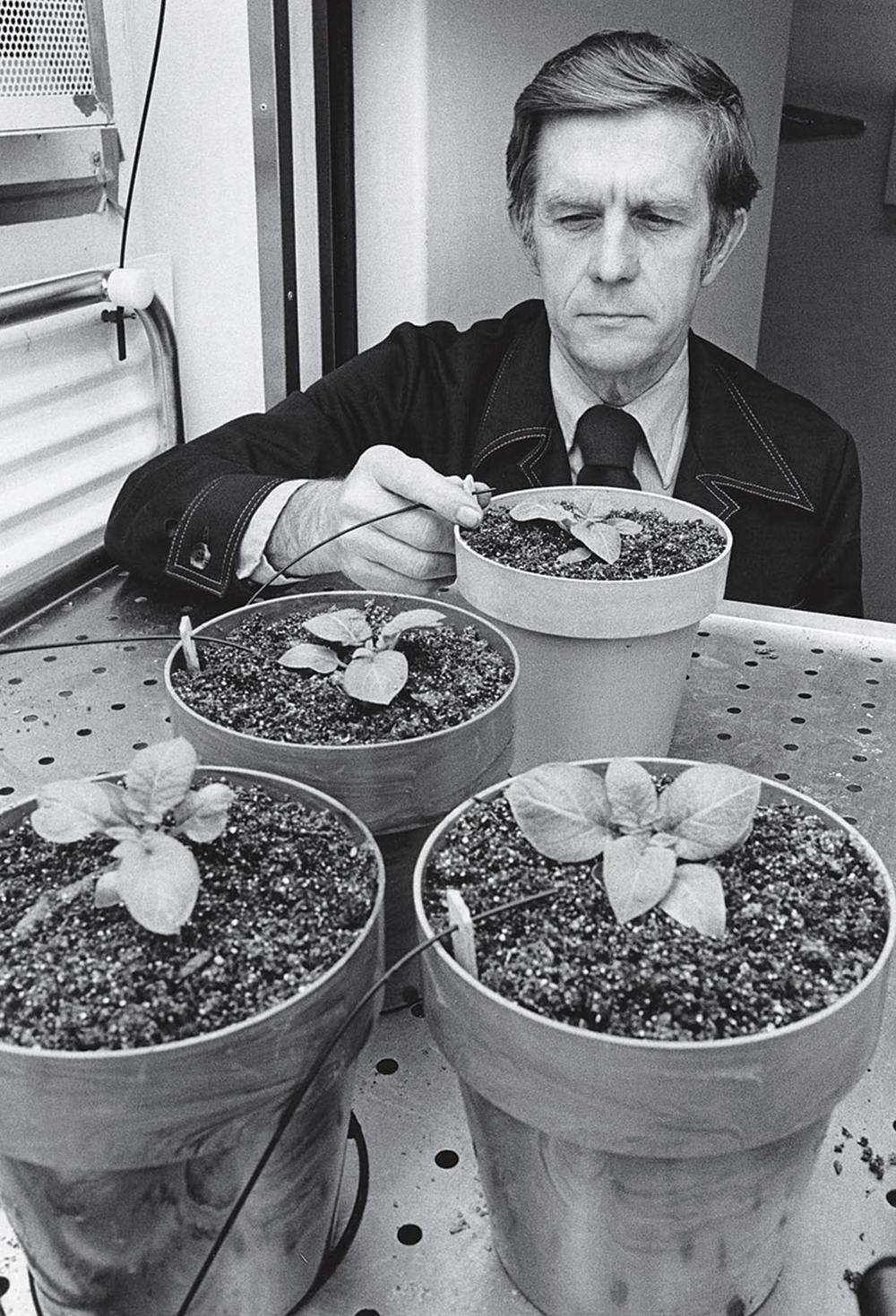 Ted Tibbitts monitoring potted plants