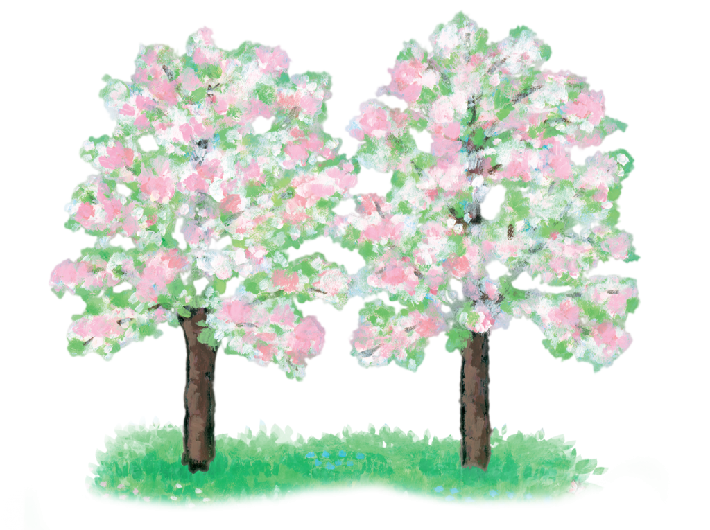 Illustration of two flowering trees