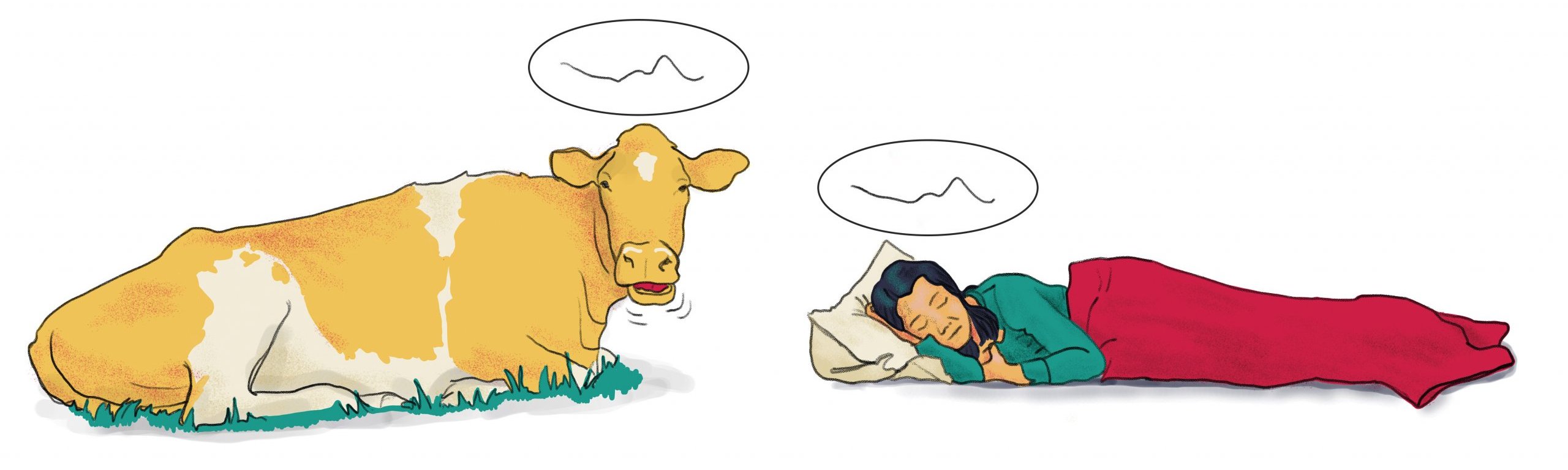 Illustration of cow and woman sleeping
