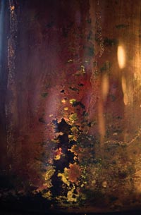 Margulis sees beauty in the object of many hours of study —  a cylinder of laboratory mud teeming with microbial life. She is so passionate about her research that not a single day has gone by in decades that hasn’t included work. Photo: Tracy Powell
