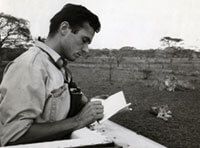 Taking notes with lions