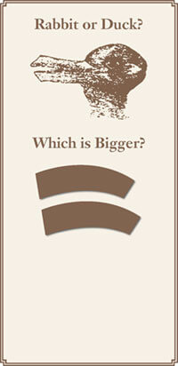 Visual perception test