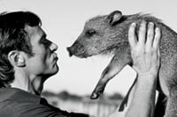 Kissing a peccary.