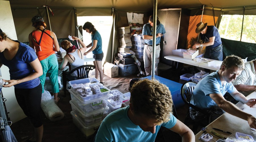 Research prepare specimens for transport