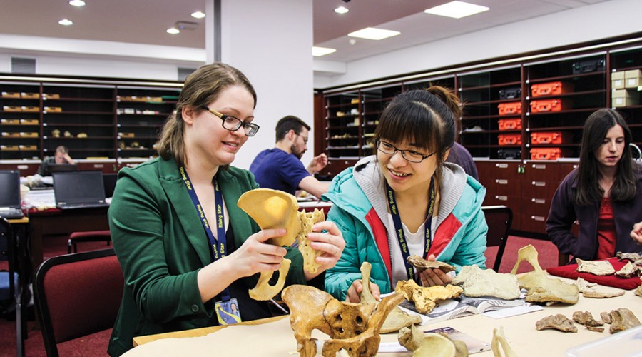 Caroline VanSickle and a colleague study a hip specimen