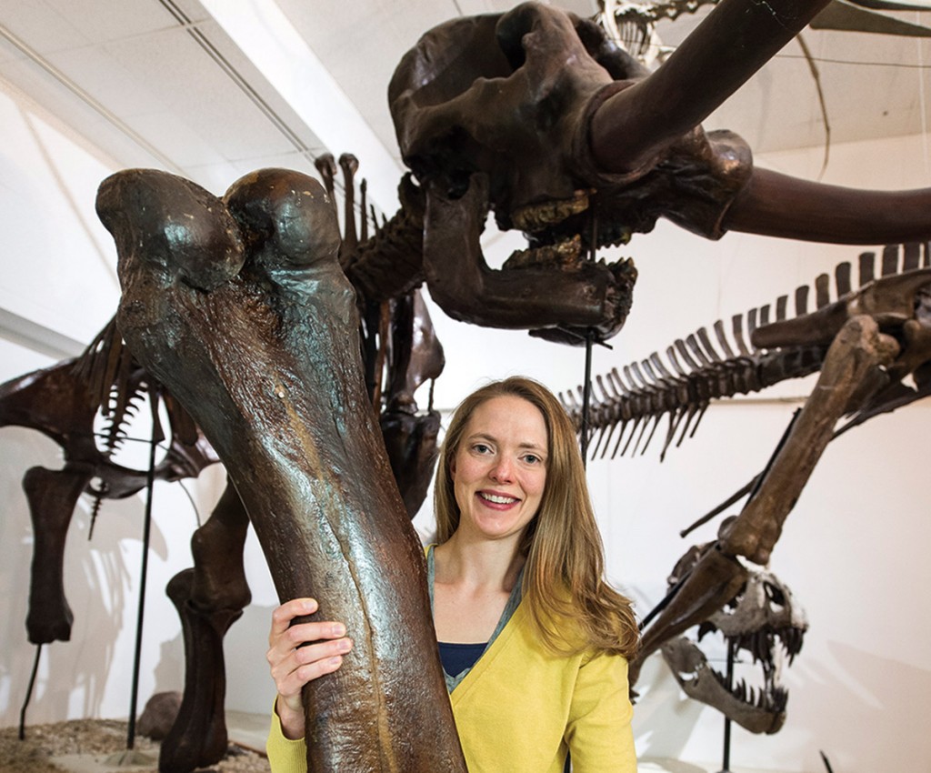 The Mysterious Mastodon On Wisconsin Magazine