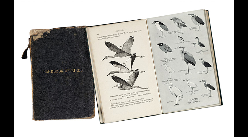 Two old notebooks, one closed and one open to page showing drawings of birds with descriptions.
