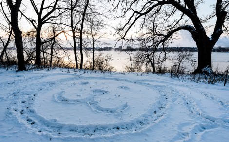 Drawing of dog face in snow at Picnic Point in winter.