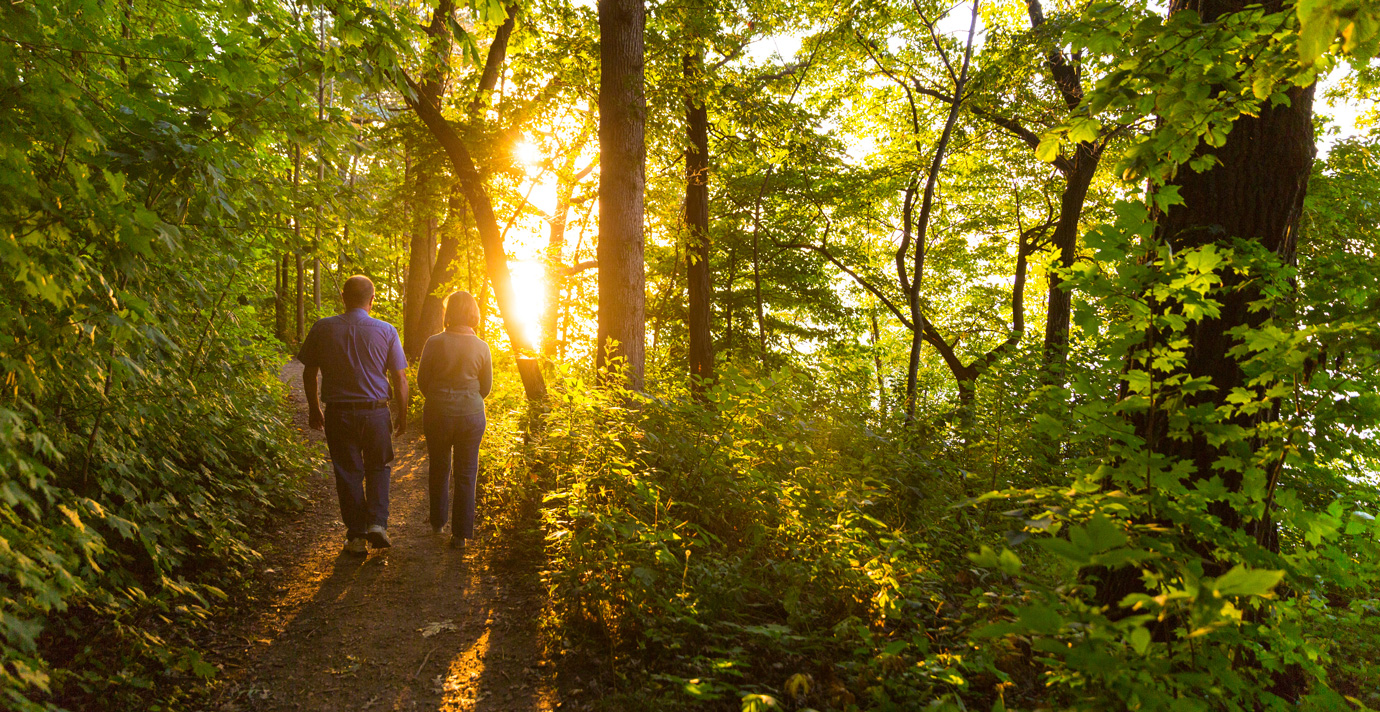 Couple walks down green wooded path towards setting sun