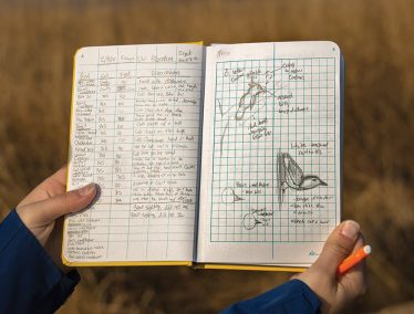 Pair of hands holding notebook filled with birding notes and illustrations