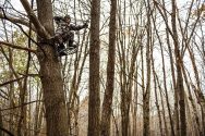 Bow hunter sits in tree