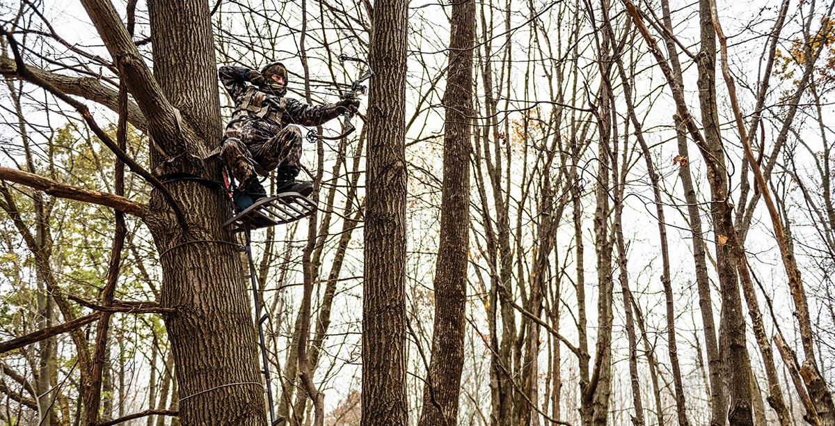 Bow hunter sits in tree