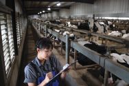 Student fills writes on clipboard with rows of dairy cows in the background