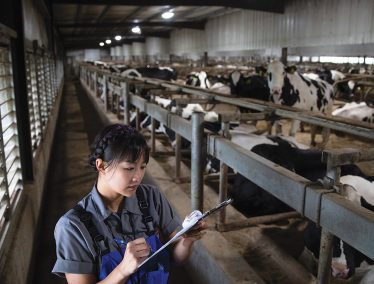 Student fills writes on clipboard with rows of dairy cows in the background