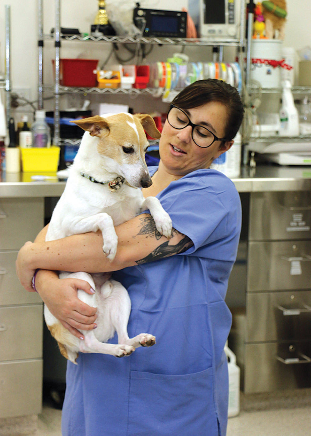 Nine-year-old Norton, a rat-terrier mix, gets a hug from his owner and UW veterinary technician Abbey Ace