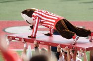 Bucky Badger does push-ups at a football game