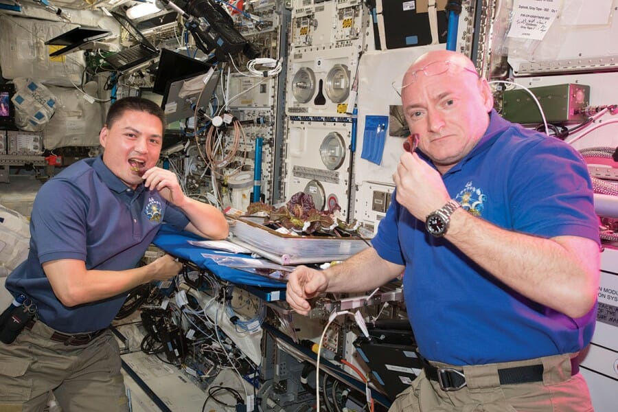 Astronauts Scott Kelly and Kjell Lindgren eat lettuce on the International Space Station