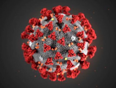 rendering of coronavirus
