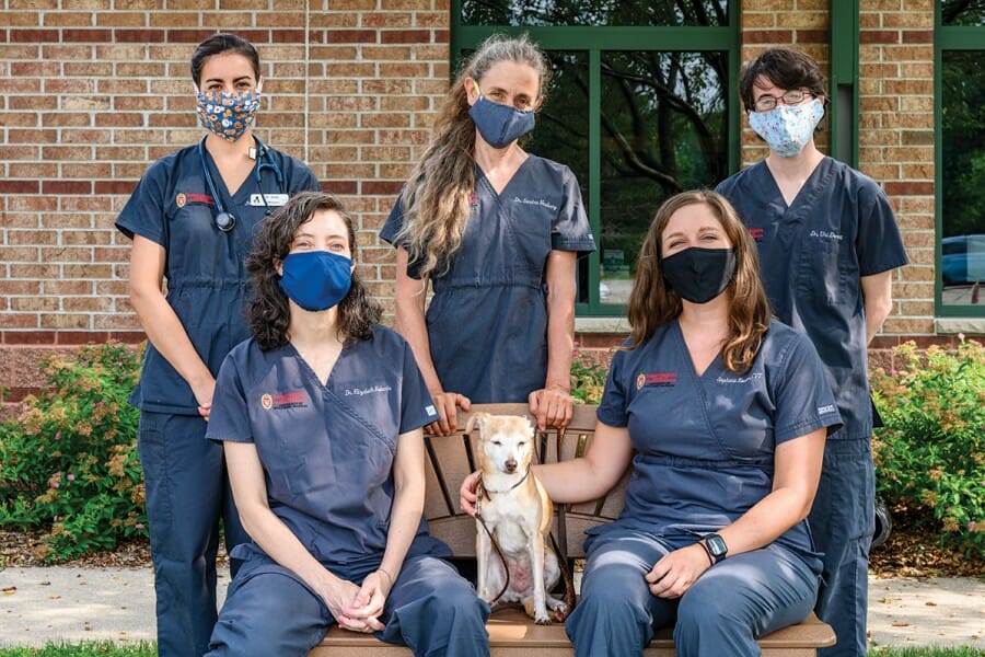Some members of the UW’s Shelter Medicine team pose with Peanut in July. Top row, from left to right: Makhijani, Newbury, and Donnett. Bottom row, from left to right: Elizabeth Roberts, a Maddie’s Shelter Medicine Resident; Peanut; and Koester.