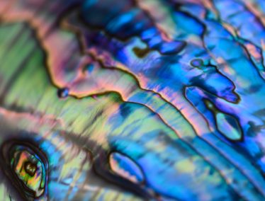 Extreme close-up of iridescent biomineral