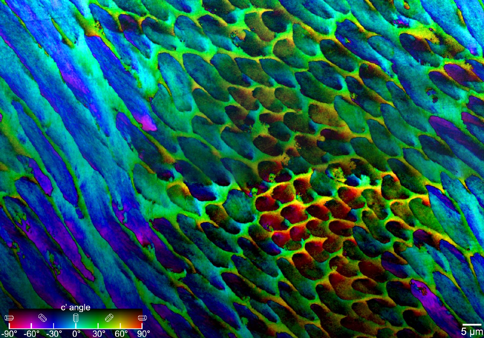 PIC map of tooth enamel