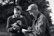 Joseph Hickey and Hallock Hosford examine a bird
