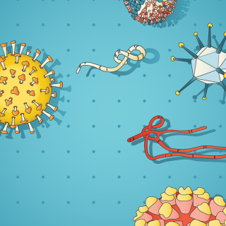 Illustration of different spiked virus cells