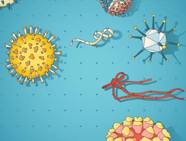 Illustration of different spiked virus cells