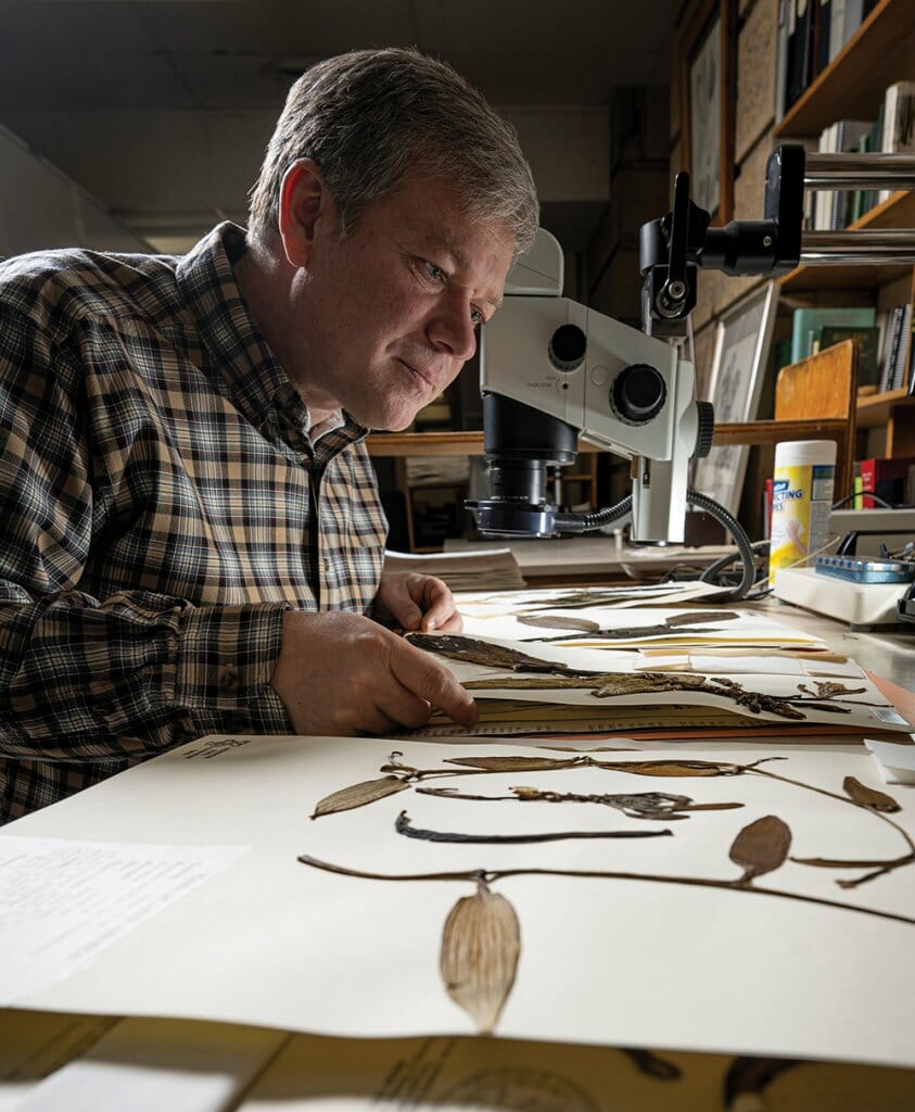 Ken Cameron preserves plant cuttings between pieces of paper