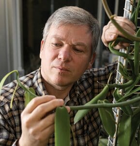 Ken Cameron inspects vanilla plants