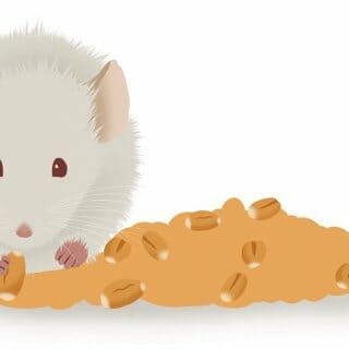 Illustration of mouse eating from pile of food