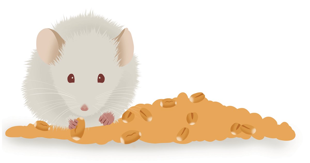 Illustration of mouse eating