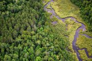 Aerial photo of the woods and wetlands part of the Chequamegon-Nicolet National Forest