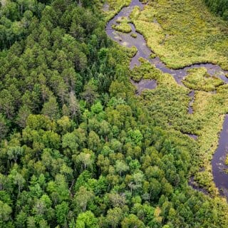 Aerial photo of the woods and wetlands part of the Chequamegon-Nicolet National Forest