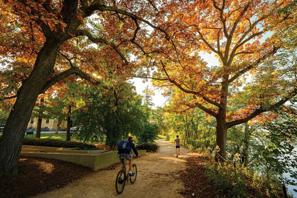 Bicyclists ride down an autumnal tree-lined Lakeshore path in the late afternoon sunlight