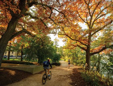Bicyclists ride down an autumnal tree-lined Lakeshore path in the late afternoon sunlight