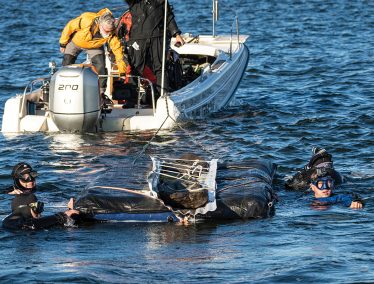 A team of divers surface near boat on Lake Mendota