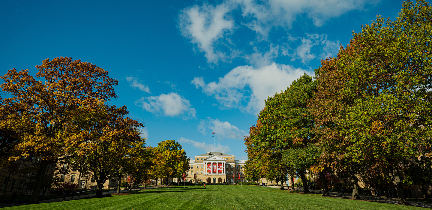 Long view of tree-lined Bascom Hill with Bascom Hall at the top against a blue summer sky