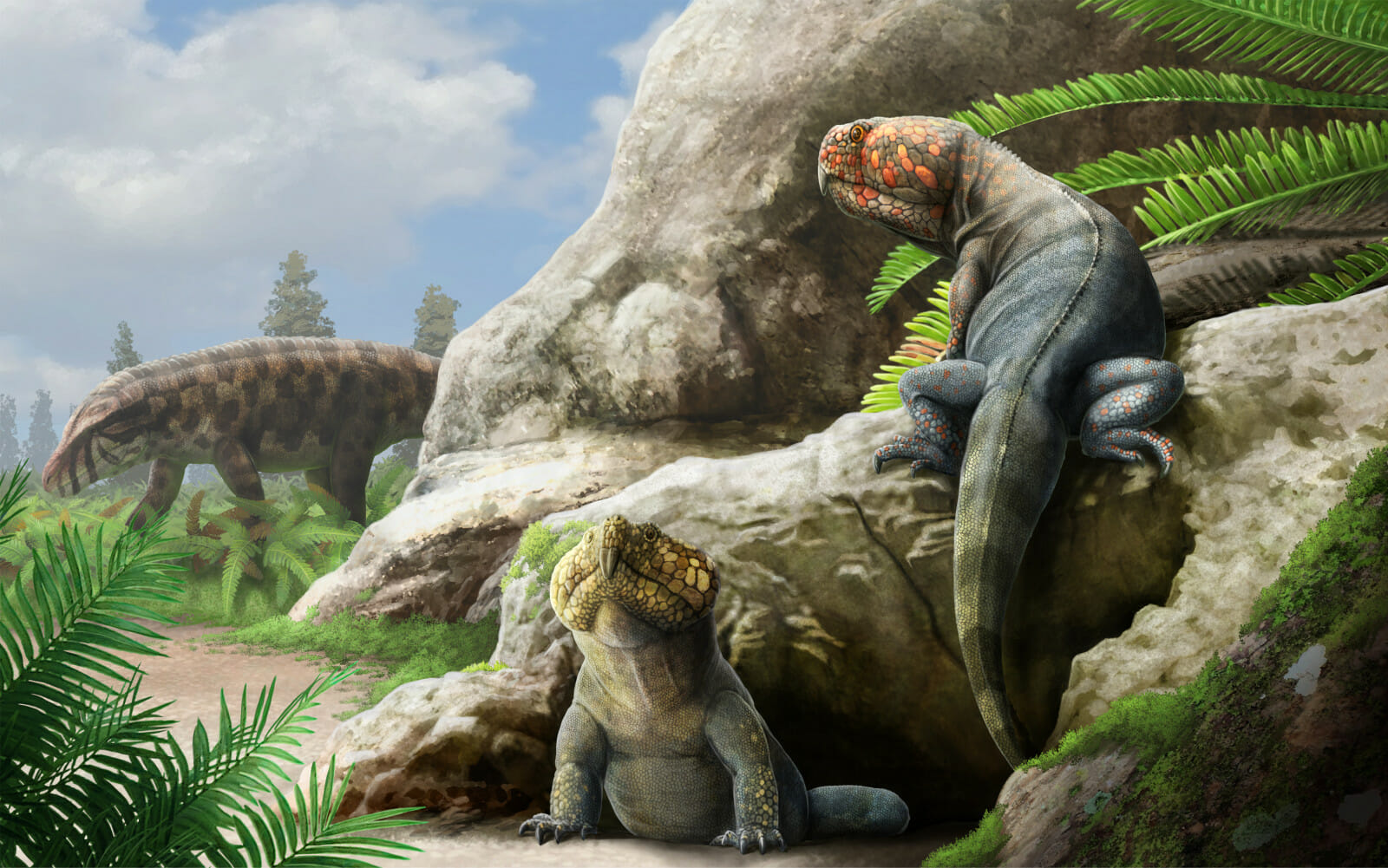 Illustration of the Rhynchosaur