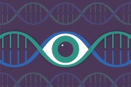 An illustration shows an eye in the middle of DNA strands