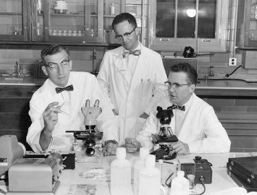 Harry Waisman (left) works in his lab with colleagues C. W. Reiquam and Nathan Smith