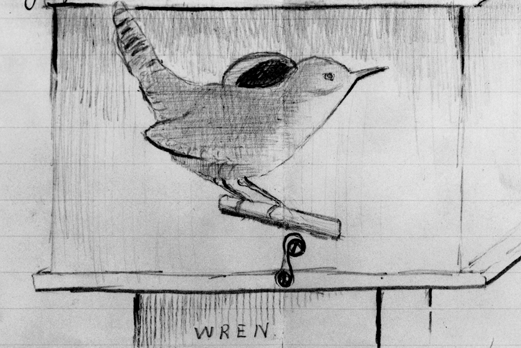 A pencil sketch of a wren perched on a birdhouse.