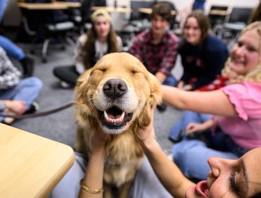 Anny the golden retriever flashes the pearly whites while spreading smiles to UW students.