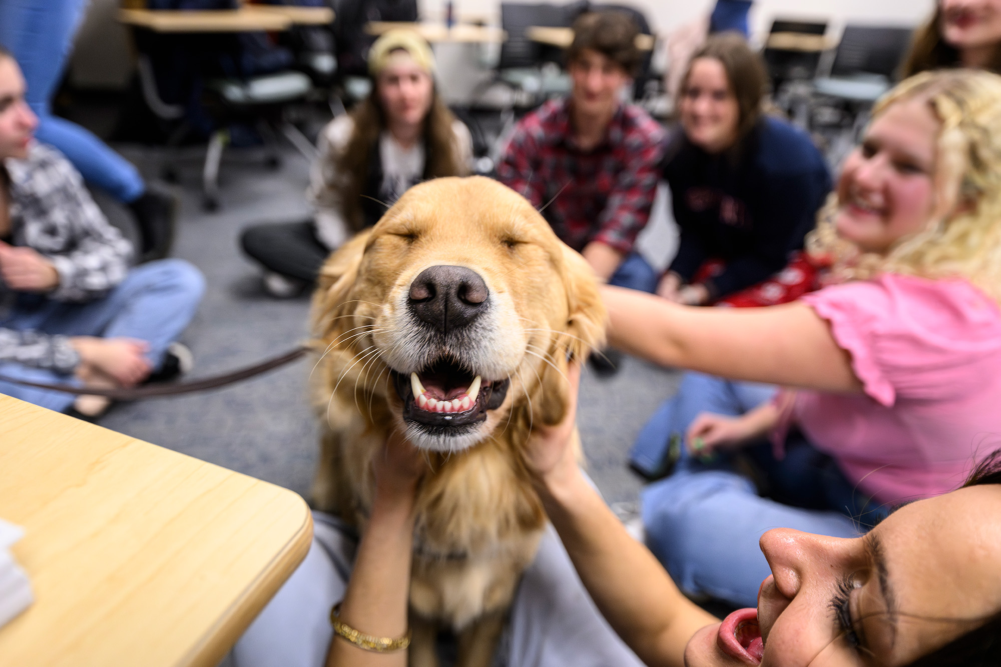 Anny the golden retriever flashes the pearly whites while spreading smiles to UW students.