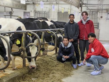 Students pose next to cows inside a barn